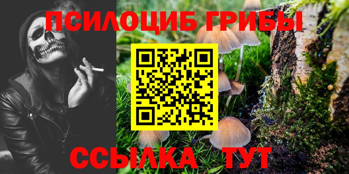 Бугуруслан  Псилоцибиновые грибы ЛСД  Галлюциногенные грибы Magic Shrooms  Вход с VPN 